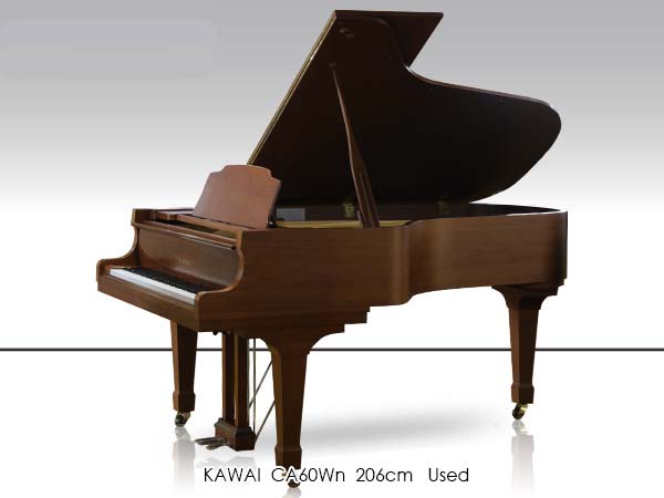 Music City – Tổng Kho Piano, Guitar, Organ | Dịch Vụ Giáo Dục Âm Nhạc