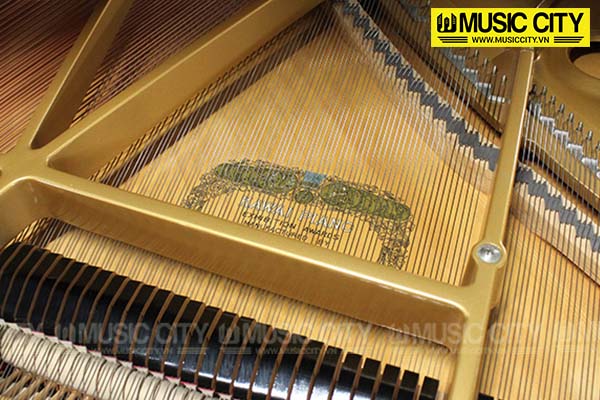 Music City – Tổng Kho Piano, Guitar, Organ | Dịch Vụ Giáo Dục Âm Nhạc