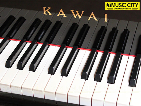 Music City – Tổng Kho Piano, Guitar, Organ | Dịch Vụ Giáo Dục Âm Nhạc