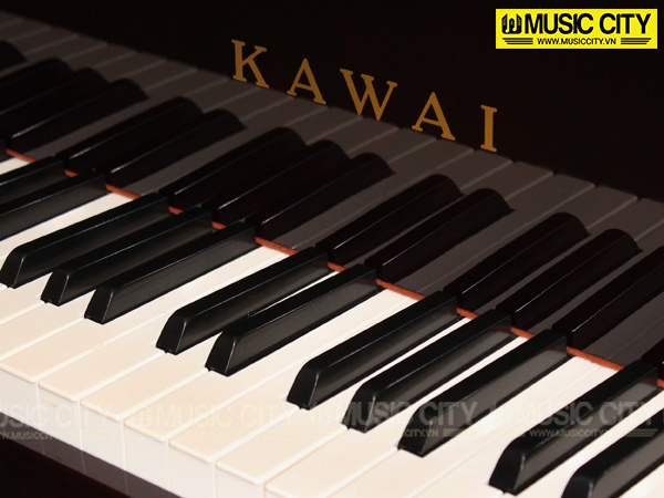 Music City – Tổng Kho Piano, Guitar, Organ | Dịch Vụ Giáo Dục Âm Nhạc