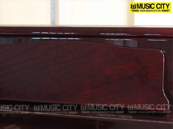 Music City – Tổng Kho Piano, Guitar, Organ | Dịch Vụ Giáo Dục Âm Nhạc
