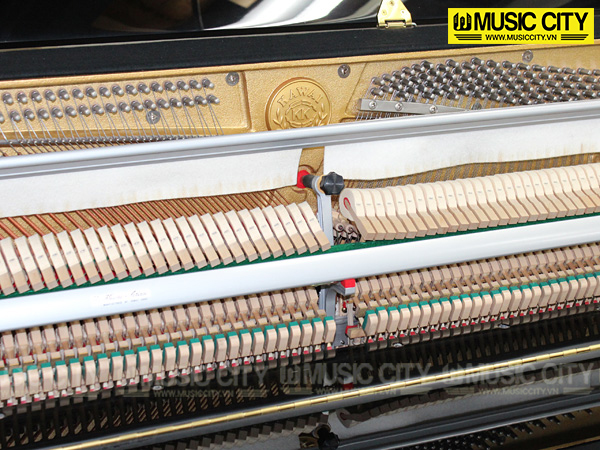 Music City – Tổng Kho Piano, Guitar, Organ | Dịch Vụ Giáo Dục Âm Nhạc