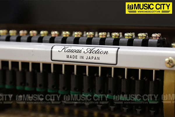 Music City – Tổng Kho Piano, Guitar, Organ | Dịch Vụ Giáo Dục Âm Nhạc