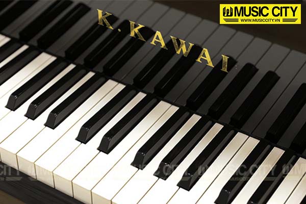 Music City – Tổng Kho Piano, Guitar, Organ | Dịch Vụ Giáo Dục Âm Nhạc