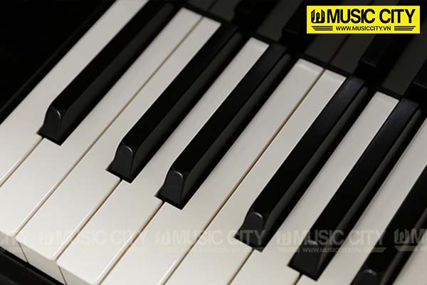 Music City – Tổng Kho Piano, Guitar, Organ | Dịch Vụ Giáo Dục Âm Nhạc