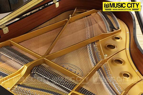 Music City – Tổng Kho Piano, Guitar, Organ | Dịch Vụ Giáo Dục Âm Nhạc