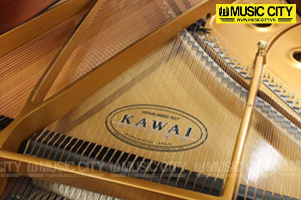 Music City – Tổng Kho Piano, Guitar, Organ | Dịch Vụ Giáo Dục Âm Nhạc