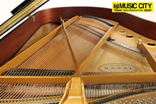 Music City – Tổng Kho Piano, Guitar, Organ | Dịch Vụ Giáo Dục Âm Nhạc