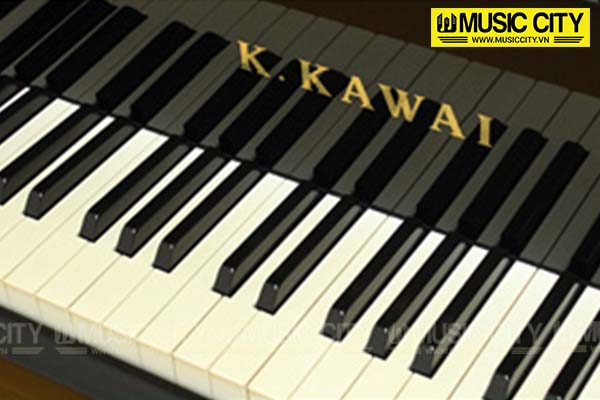 Music City – Tổng Kho Piano, Guitar, Organ | Dịch Vụ Giáo Dục Âm Nhạc