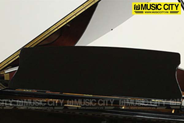 Music City – Tổng Kho Piano, Guitar, Organ | Dịch Vụ Giáo Dục Âm Nhạc