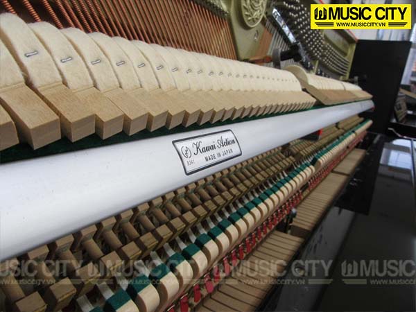 Music City – Tổng Kho Piano, Guitar, Organ | Dịch Vụ Giáo Dục Âm Nhạc