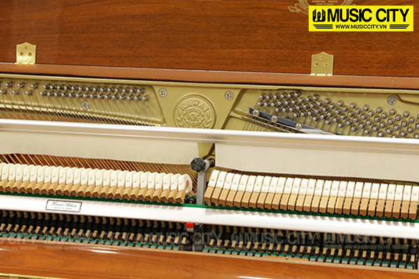 Music City – Tổng Kho Piano, Guitar, Organ | Dịch Vụ Giáo Dục Âm Nhạc