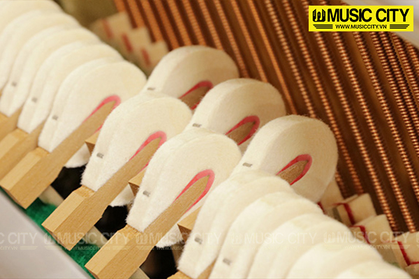 Music City – Tổng Kho Piano, Guitar, Organ | Dịch Vụ Giáo Dục Âm Nhạc