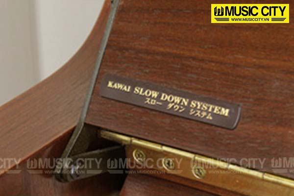 Music City – Tổng Kho Piano, Guitar, Organ | Dịch Vụ Giáo Dục Âm Nhạc