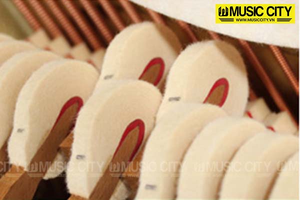 Music City – Tổng Kho Piano, Guitar, Organ | Dịch Vụ Giáo Dục Âm Nhạc