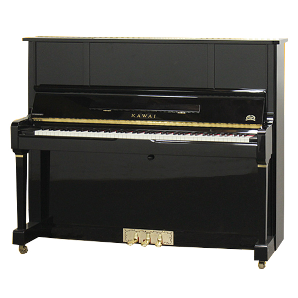 Music City – Tổng Kho Piano, Guitar, Organ | Dịch Vụ Giáo Dục Âm Nhạc