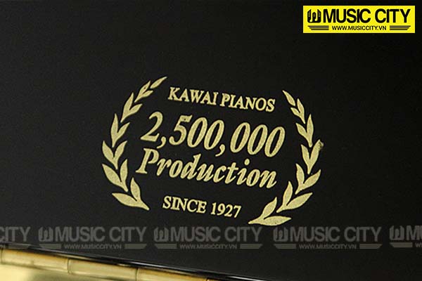 Music City – Tổng Kho Piano, Guitar, Organ | Dịch Vụ Giáo Dục Âm Nhạc