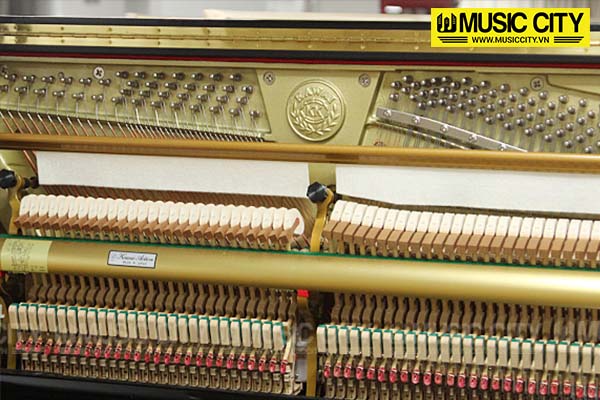 Music City – Tổng Kho Piano, Guitar, Organ | Dịch Vụ Giáo Dục Âm Nhạc