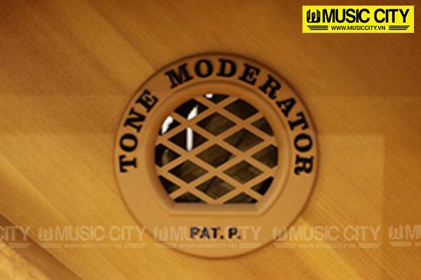 Music City – Tổng Kho Piano, Guitar, Organ | Dịch Vụ Giáo Dục Âm Nhạc