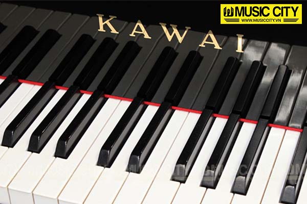 Music City – Tổng Kho Piano, Guitar, Organ | Dịch Vụ Giáo Dục Âm Nhạc