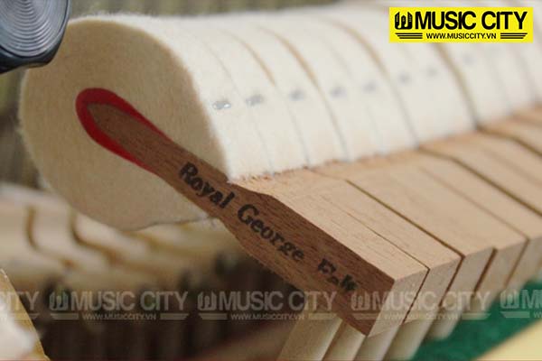 Music City – Tổng Kho Piano, Guitar, Organ | Dịch Vụ Giáo Dục Âm Nhạc