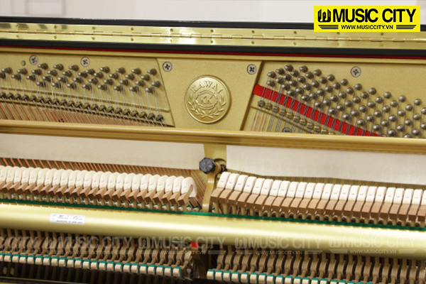 Music City – Tổng Kho Piano, Guitar, Organ | Dịch Vụ Giáo Dục Âm Nhạc