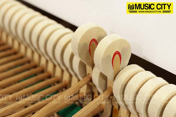Music City – Tổng Kho Piano, Guitar, Organ | Dịch Vụ Giáo Dục Âm Nhạc