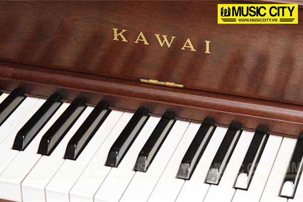 Music City – Tổng Kho Piano, Guitar, Organ | Dịch Vụ Giáo Dục Âm Nhạc