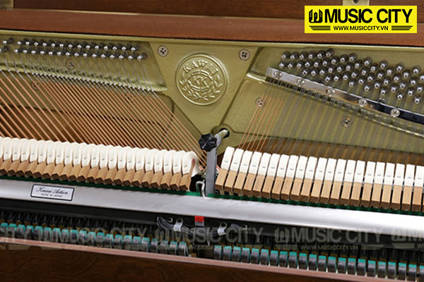 Music City – Tổng Kho Piano, Guitar, Organ | Dịch Vụ Giáo Dục Âm Nhạc
