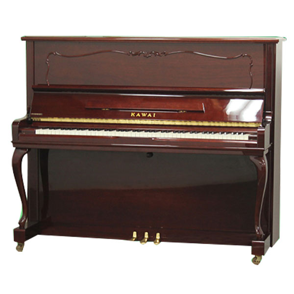 Music City – Tổng Kho Piano, Guitar, Organ | Dịch Vụ Giáo Dục Âm Nhạc