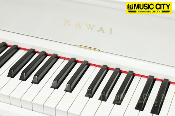 Music City – Tổng Kho Piano, Guitar, Organ | Dịch Vụ Giáo Dục Âm Nhạc