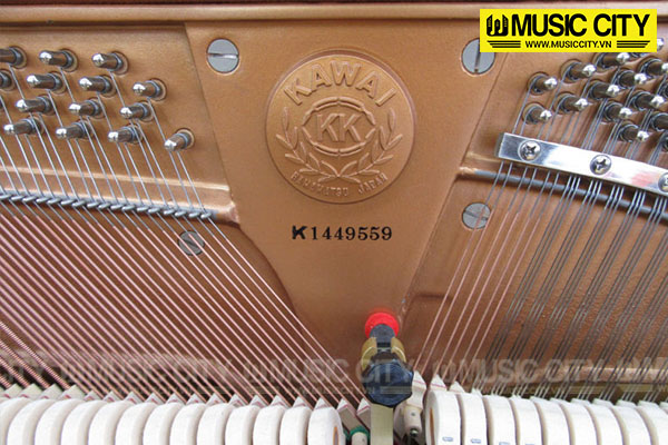 Music City – Tổng Kho Piano, Guitar, Organ | Dịch Vụ Giáo Dục Âm Nhạc