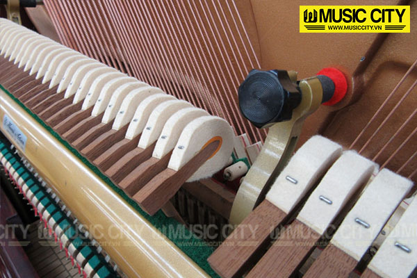 Music City – Tổng Kho Piano, Guitar, Organ | Dịch Vụ Giáo Dục Âm Nhạc