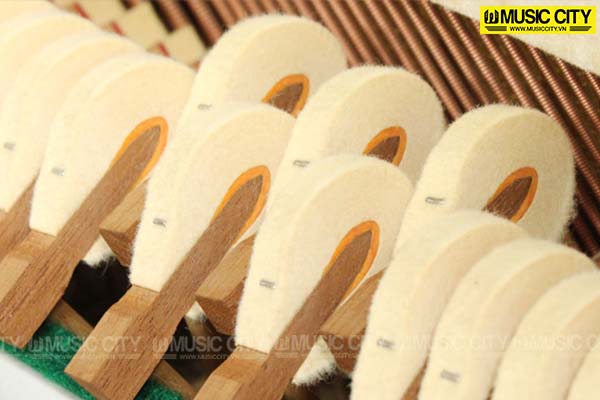 Music City – Tổng Kho Piano, Guitar, Organ | Dịch Vụ Giáo Dục Âm Nhạc