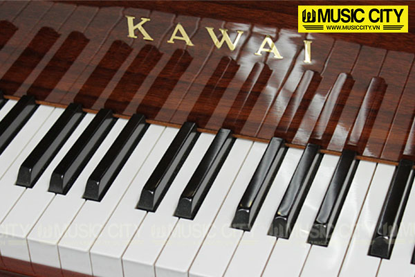 Music City – Tổng Kho Piano, Guitar, Organ | Dịch Vụ Giáo Dục Âm Nhạc
