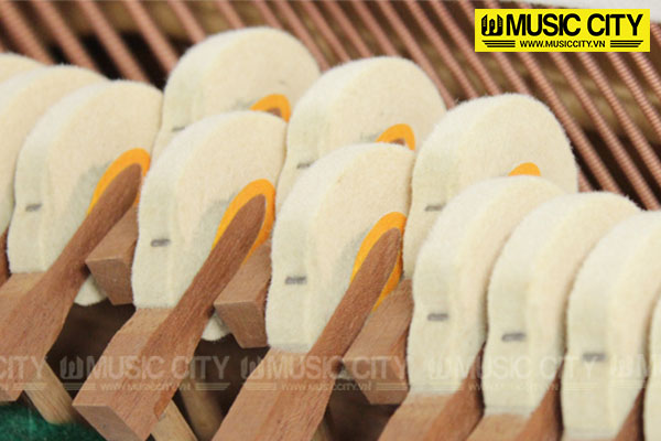 Music City – Tổng Kho Piano, Guitar, Organ | Dịch Vụ Giáo Dục Âm Nhạc