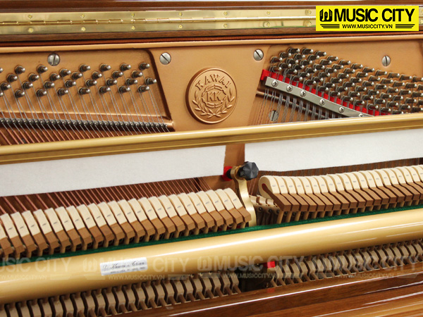 Music City – Tổng Kho Piano, Guitar, Organ | Dịch Vụ Giáo Dục Âm Nhạc