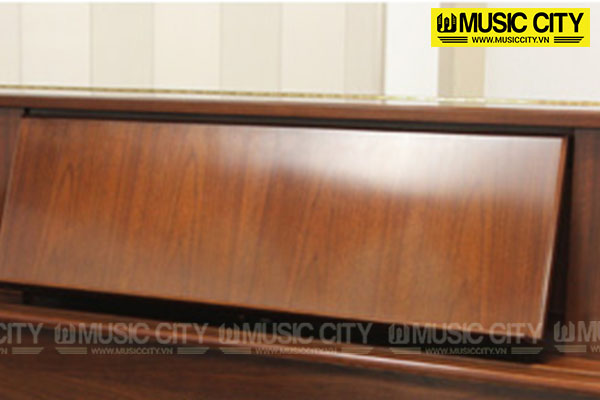 Music City – Tổng Kho Piano, Guitar, Organ | Dịch Vụ Giáo Dục Âm Nhạc