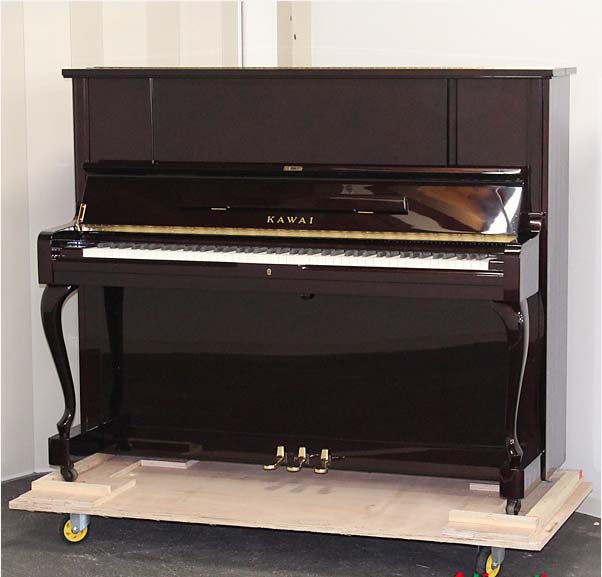 Music City – Tổng Kho Piano, Guitar, Organ | Dịch Vụ Giáo Dục Âm Nhạc