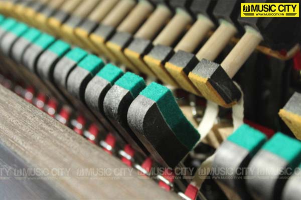 Music City – Tổng Kho Piano, Guitar, Organ | Dịch Vụ Giáo Dục Âm Nhạc