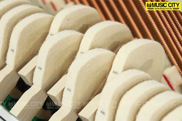 Music City – Tổng Kho Piano, Guitar, Organ | Dịch Vụ Giáo Dục Âm Nhạc