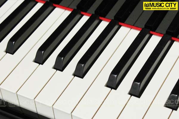 Music City – Tổng Kho Piano, Guitar, Organ | Dịch Vụ Giáo Dục Âm Nhạc