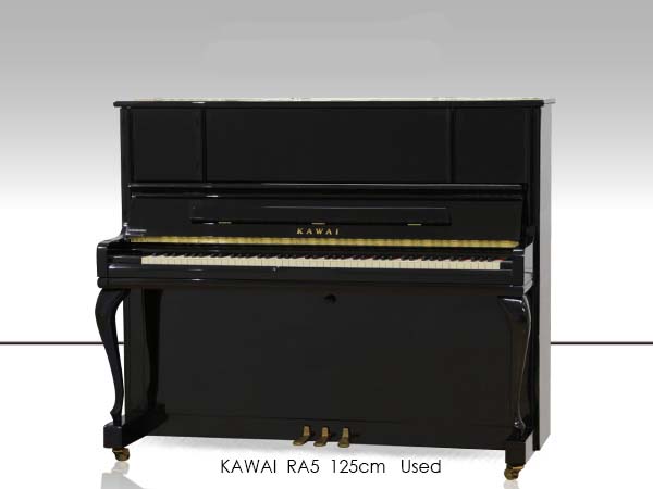 Music City – Tổng Kho Piano, Guitar, Organ | Dịch Vụ Giáo Dục Âm Nhạc