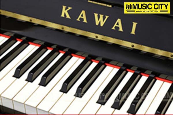 Music City – Tổng Kho Piano, Guitar, Organ | Dịch Vụ Giáo Dục Âm Nhạc