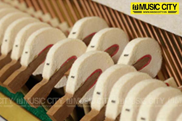 Music City – Tổng Kho Piano, Guitar, Organ | Dịch Vụ Giáo Dục Âm Nhạc