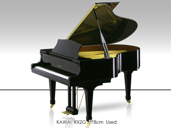 Music City – Tổng Kho Piano, Guitar, Organ | Dịch Vụ Giáo Dục Âm Nhạc