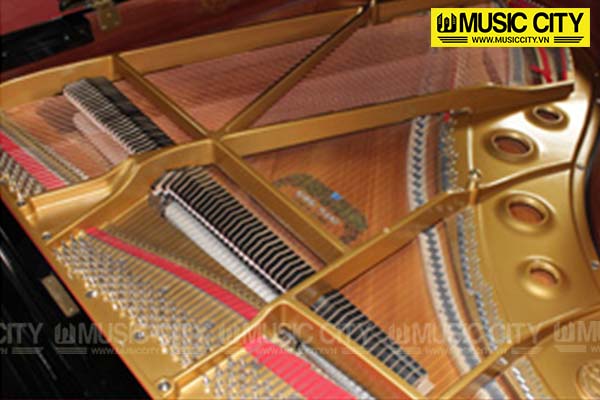Music City – Tổng Kho Piano, Guitar, Organ | Dịch Vụ Giáo Dục Âm Nhạc