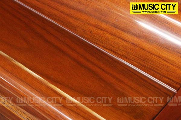 Music City – Tổng Kho Piano, Guitar, Organ | Dịch Vụ Giáo Dục Âm Nhạc