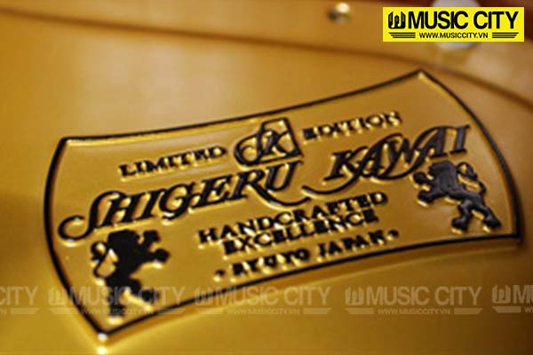 Music City – Tổng Kho Piano, Guitar, Organ | Dịch Vụ Giáo Dục Âm Nhạc