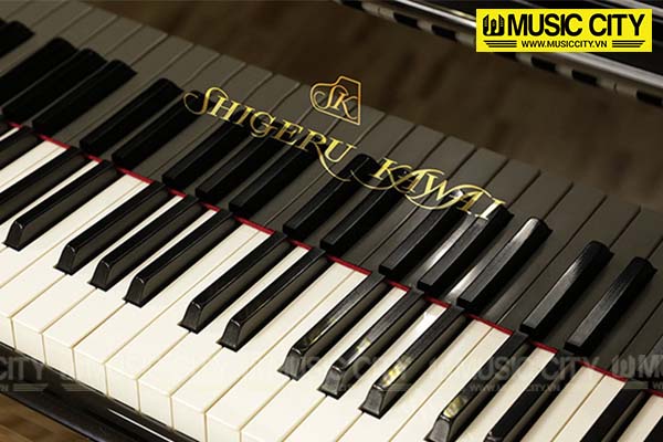Music City – Tổng Kho Piano, Guitar, Organ | Dịch Vụ Giáo Dục Âm Nhạc